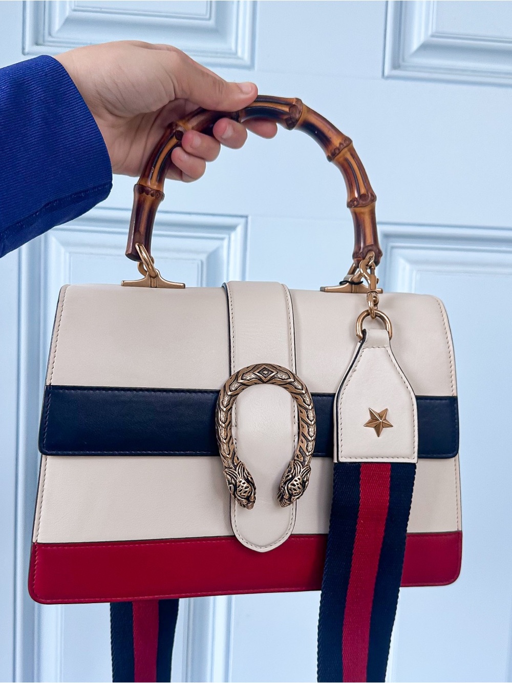 Gucci Dionysus Colorblock